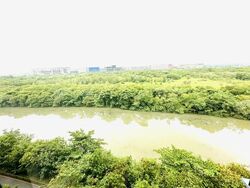 Kingsford Waterbay (D19), Apartment #510367741